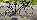 Details mit Bild
