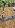 Details mit Bild